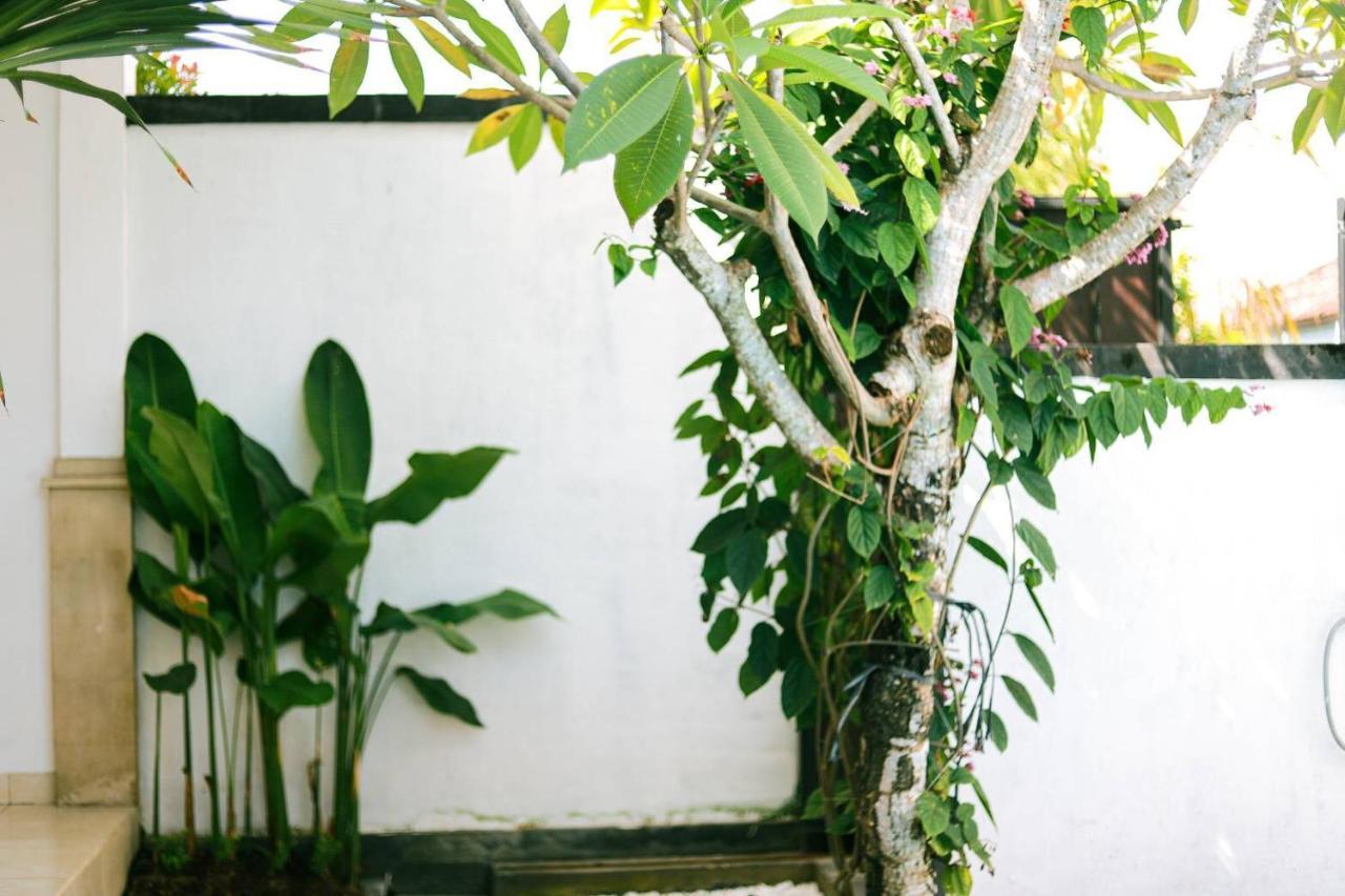 Adi Guest House Canggu Exterior foto