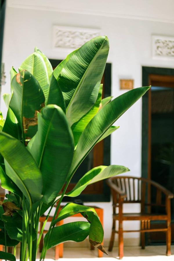 Adi Guest House Canggu Exterior foto