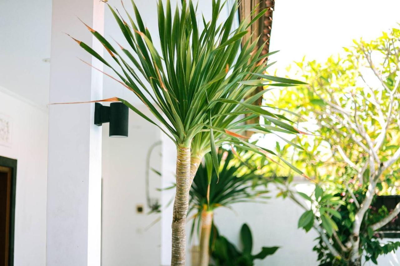 Adi Guest House Canggu Exterior foto